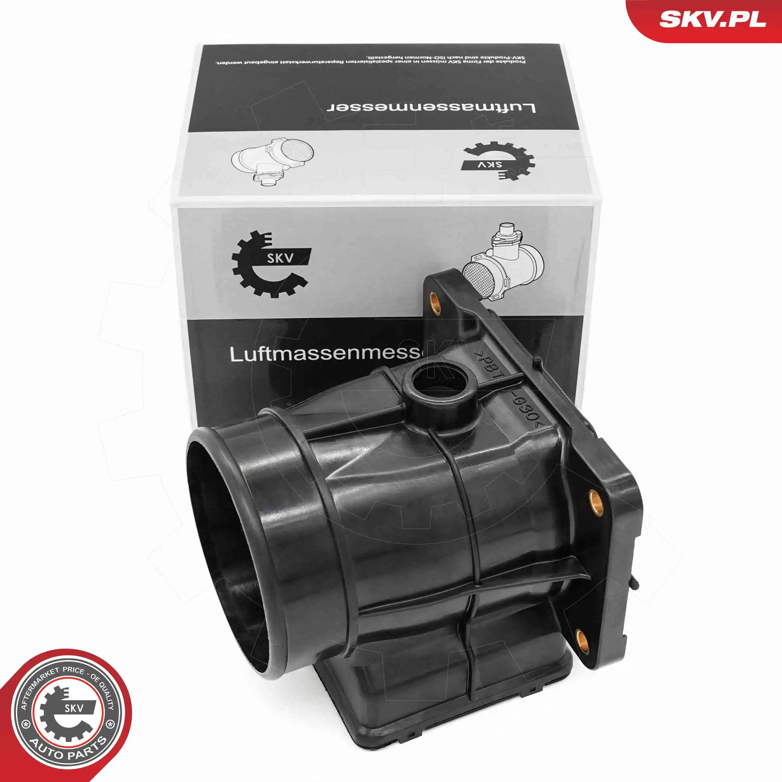 Mass Air Flow Sensor